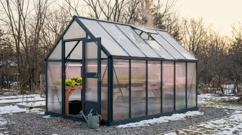 Greenhouse gardening: an 8x12 home greenhouse on a winter morning with frost on the polycarbonate roof and an auto-vent opener
